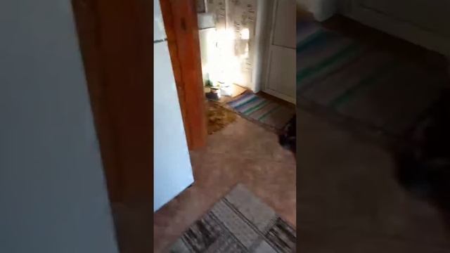 Вторую зиму с конвекторами Отзыв. Отопление электрическое.Конвектор КОУЗИ смотреть онлайн