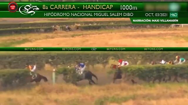 MALLORCA Octava carrera domingo 3/10/2021 Hipódromo Nacional Miguel Salem Dibo смотреть онлайн
