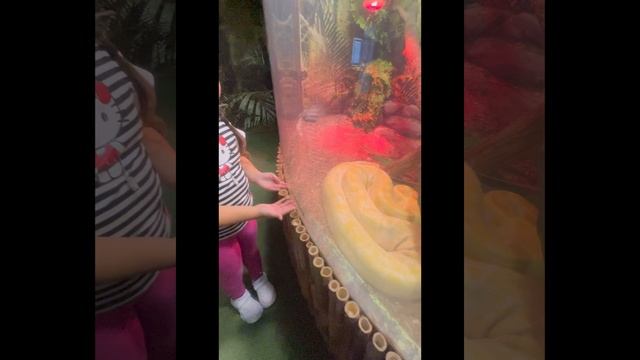 Океанариум