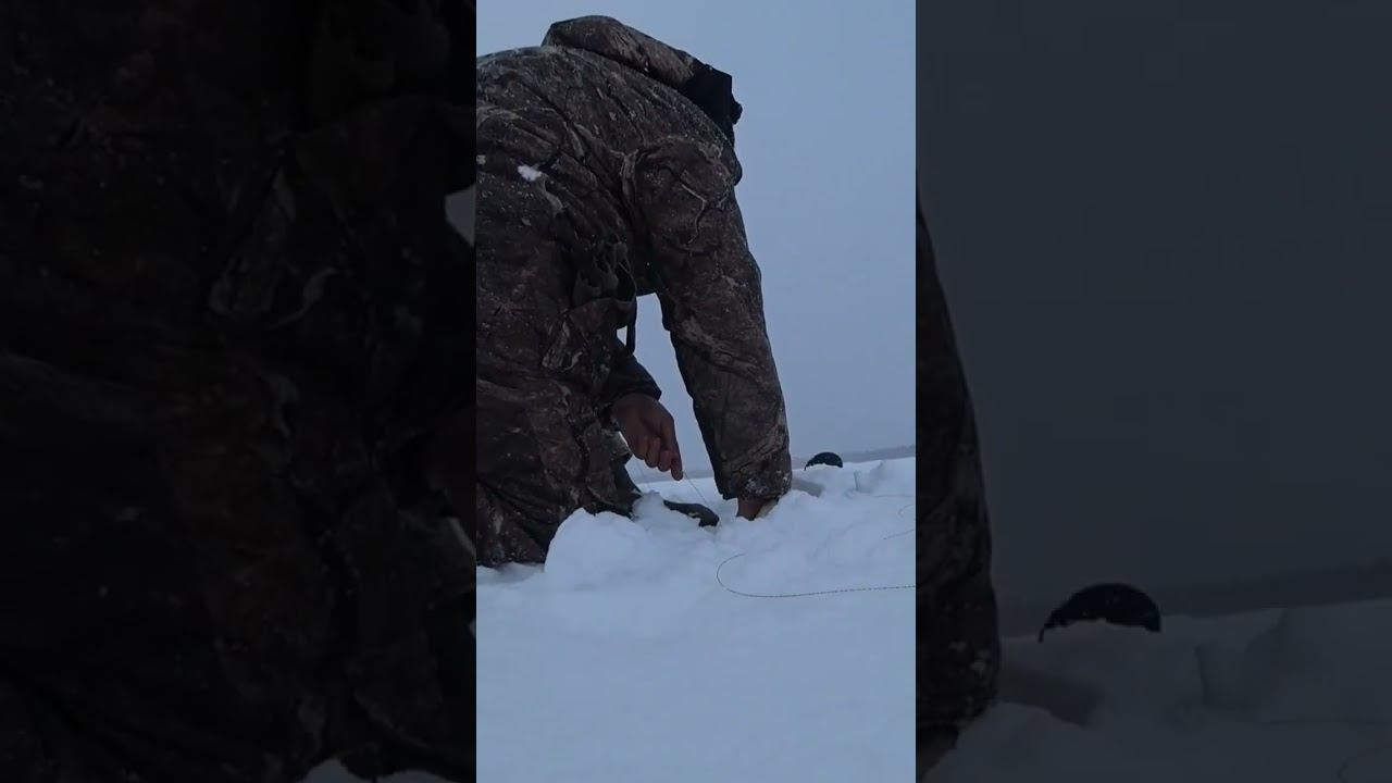 щука еле влезла в лунку смотреть онлайн