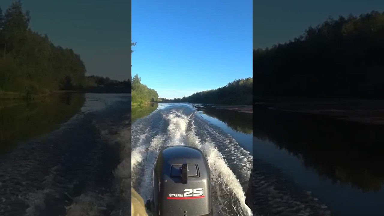 Красота лесной реки смотреть онлайн