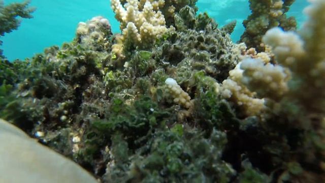 Save Nature смотреть онлайн