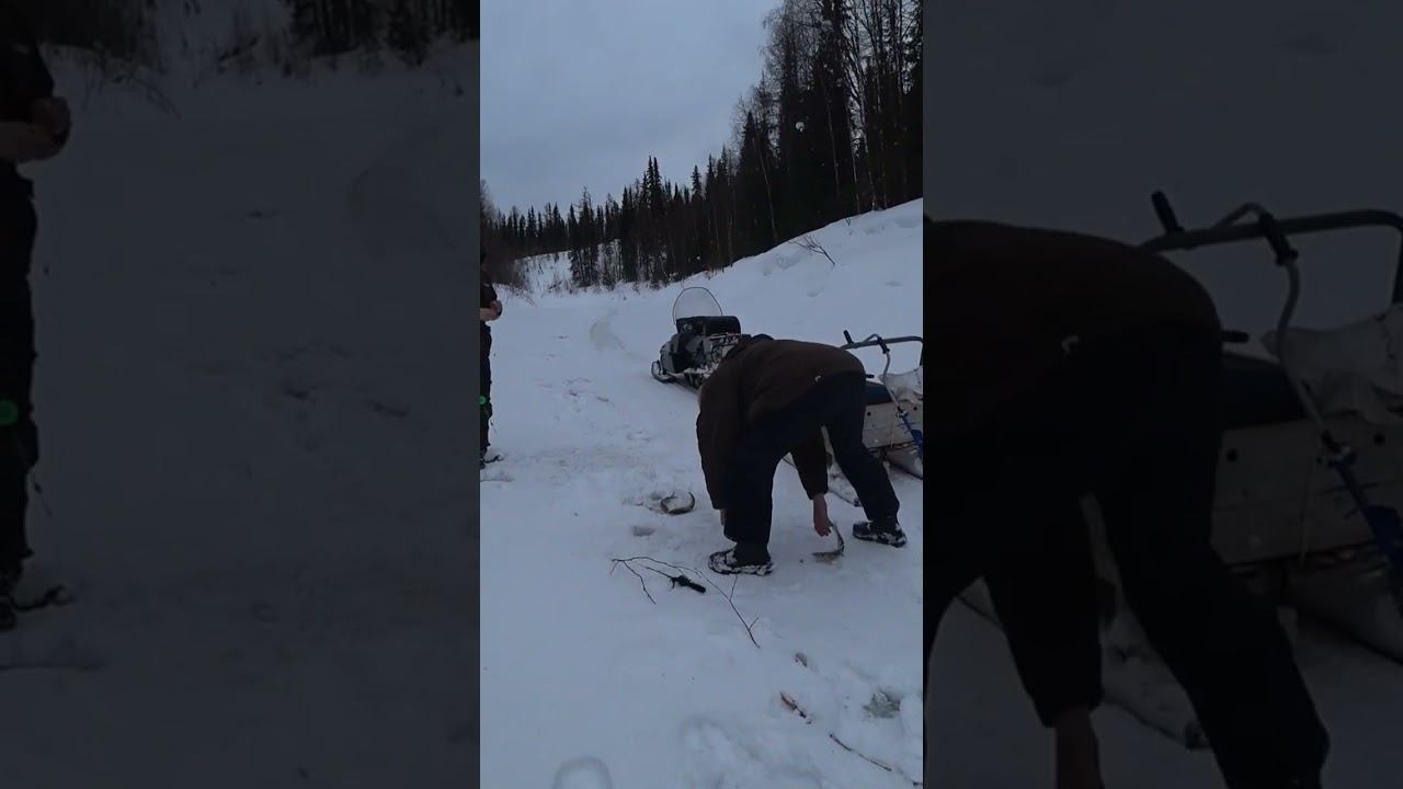 отборный хариус смотреть онлайн