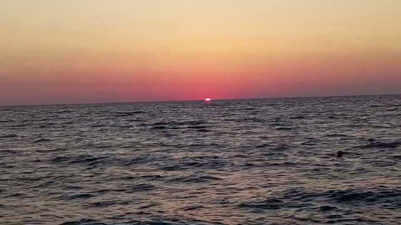 5 сентября 2024 г.