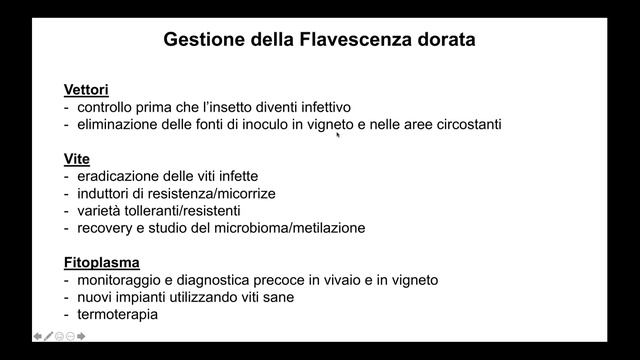 Flavescenza dorata: tra vecchie conoscenze e nuove acquisizioni смотреть онлайн