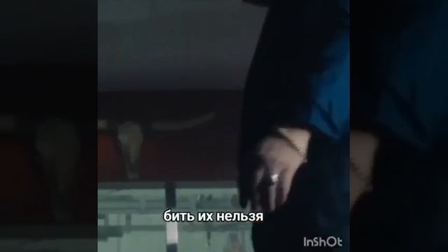 Житель ДНР⚡🇷🇺🤙