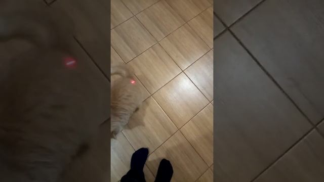 Вот что значит лазер смотреть онлайн