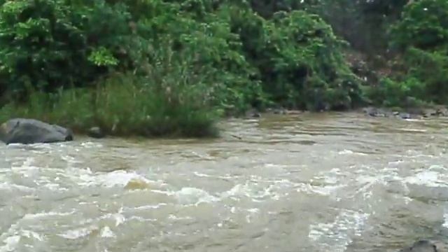 Рафтинг (Джерам Бесу, штат Паханг, Малайзия) Kampung Jeram Besu смотреть онлайн