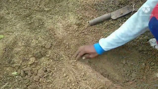Penemuan pedang & senjata langka & emas, peninggalan zaman kerajaan,MD ll East JAVA смотреть онлайн