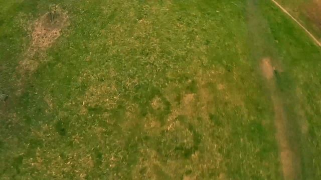 BetaFlight - BlackOut Mini H смотреть онлайн