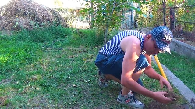1 Видно золото и видно серебро 2 смотреть онлайн