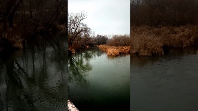 Медведица в ноябре, Франк смотреть онлайн