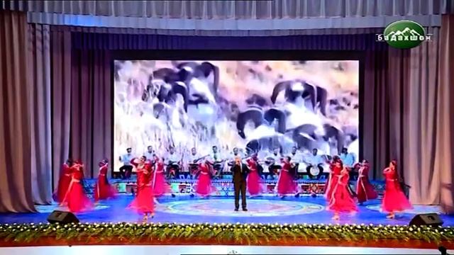 Ахмади Саидик