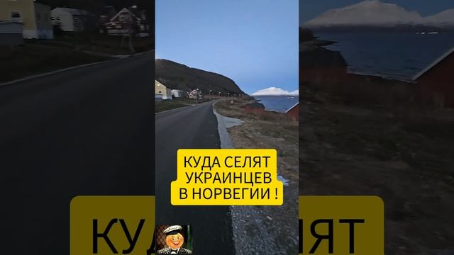 БЕСПЛАТНЫЕ ДОМА ДЛЯ УКРАИНЦЕВ В НОРВЕГИИ ! смотреть онлайн