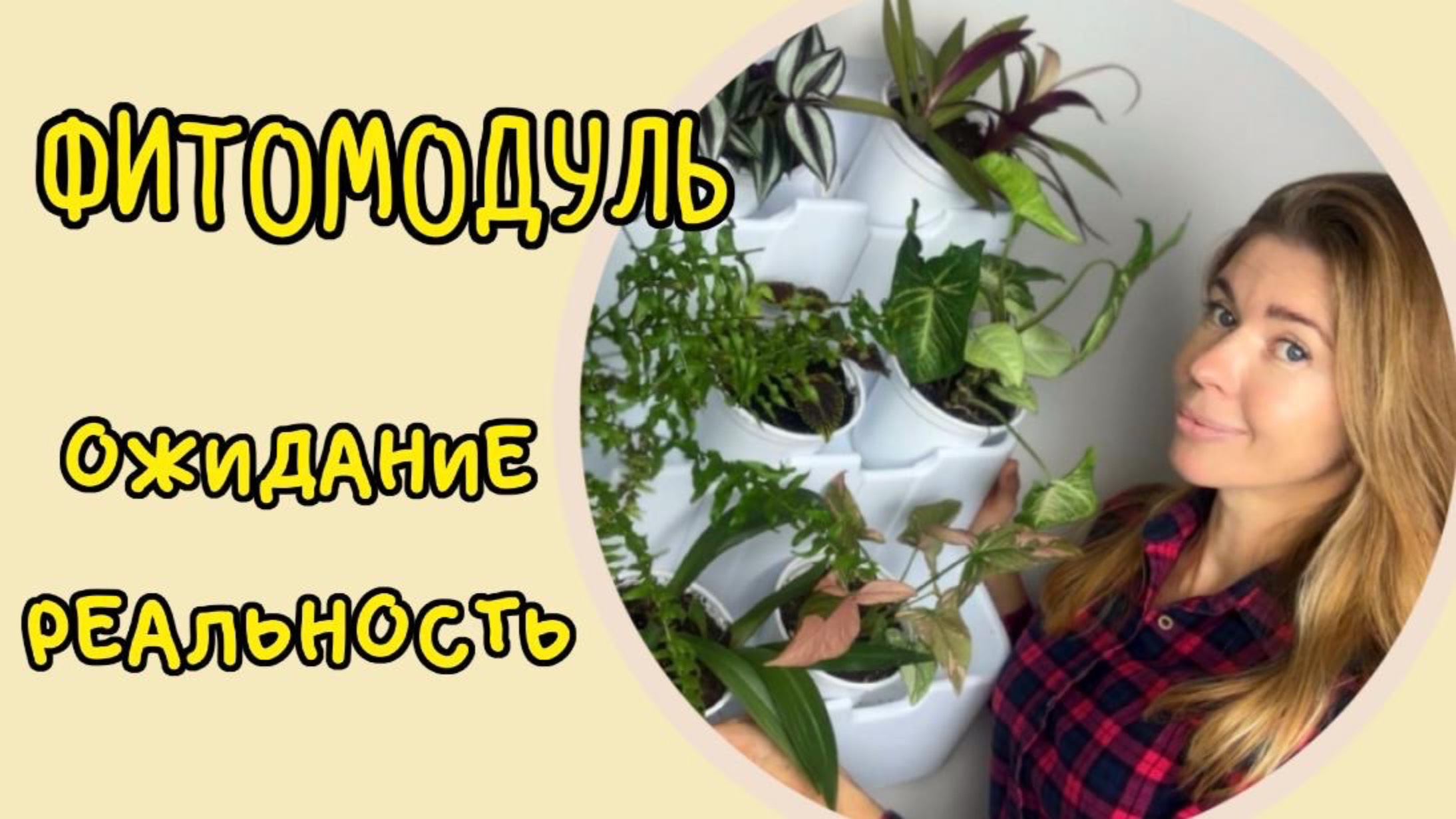 ФИТОМОДУЛЬ: все купили и я купила. Нюансы, о которых никто не говорит смотреть онлайн