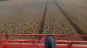 Настройка комбайна Клаас Тукано 580, часть1