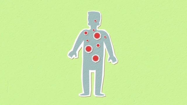 Malina Haqida,Malina Foydasi,foydali Maslaxat,tabobat,va Tib