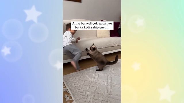【2ch動物スレ】猫を抱いたまま保安検査場を通過した結果ｗｗｗｗｗ смотреть онлайн