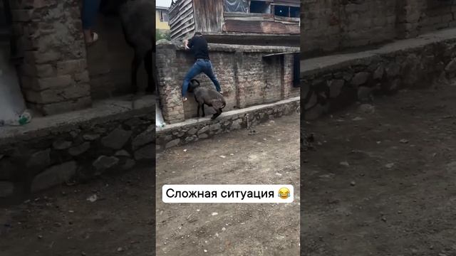 Клип Корпорация Юмора смотреть онлайн