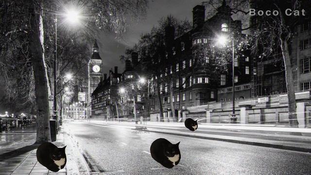 Maxwell The Cat Dance In Different Years Episode 66 Sound Variations