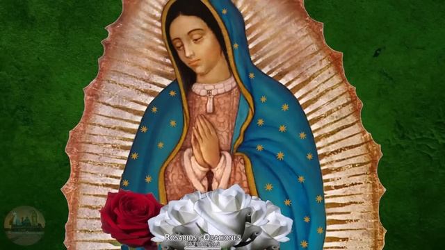 SANTO ROSARIO DE HOY A LA VIRGEN DE GUADALUPE : MISTERIOS GOZOSOS: LUNES 29 DE ABRIL DE 2024. смотреть онлайн