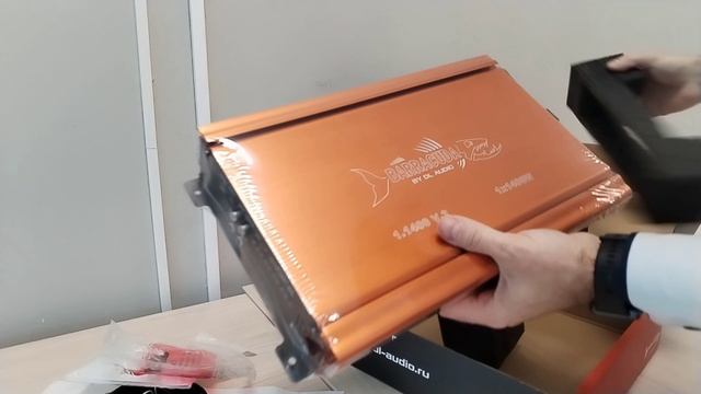 Обзор моноблока DL-AUDIO Barracuda 1.1400 V.2 смотреть онлайн
