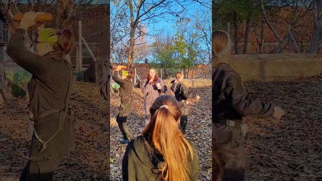 Школа дрессировки собак.mp4