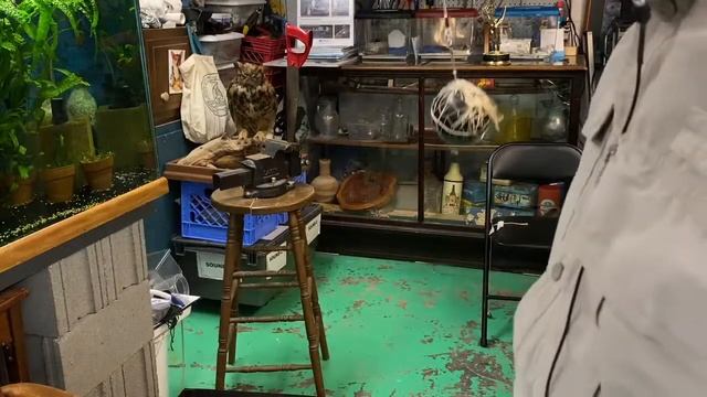 Rick Crosslin Science - Pendulums: Tick Tock смотреть онлайн