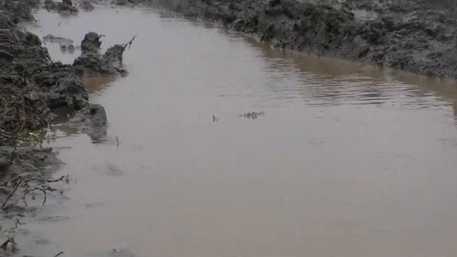 Октябрь над Волгой! смотреть онлайн