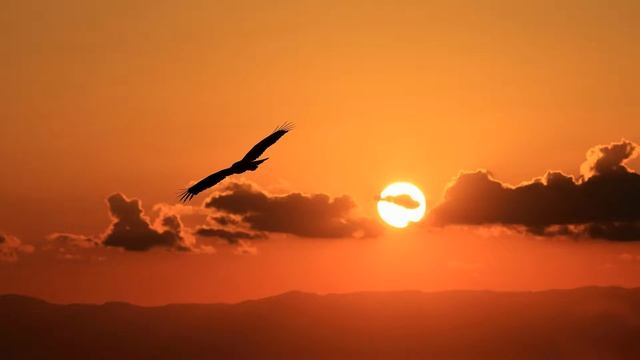 Sati Ethnica - Guashamahua