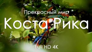 Коста Рика Буйство дикой природы и музыка фортепьяно для души и тела Full HD Ultra HD 4K