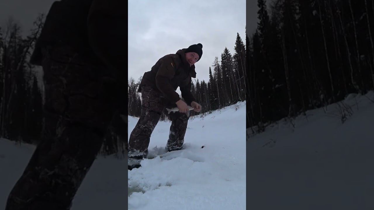 красивый ХАРИУС смотреть онлайн