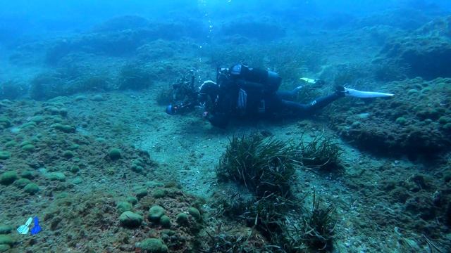 GoPro HERO8 & GoPro HERO9 4K - lights Scubalamp V3K 5000 lumen underwater test смотреть онлайн