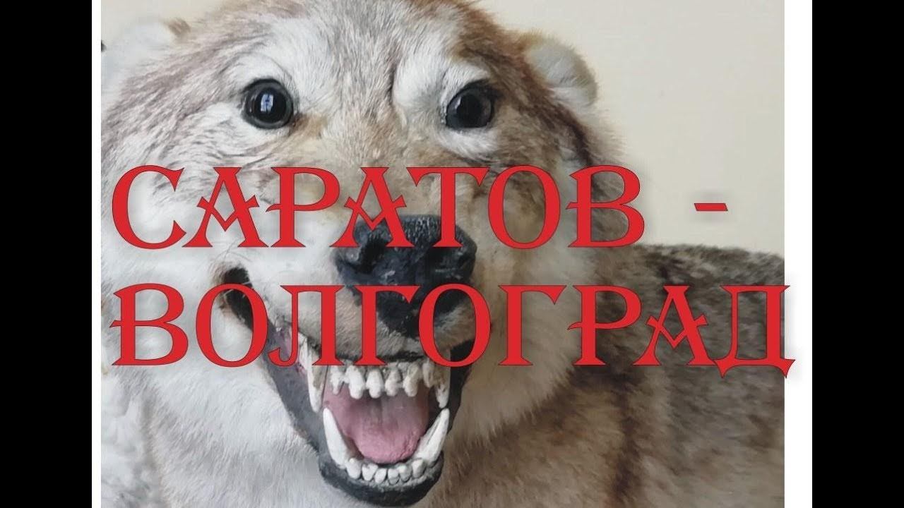 Саратов-Волгоград июль 2019. Часть 2-я.ВИДЕО. смотреть онлайн