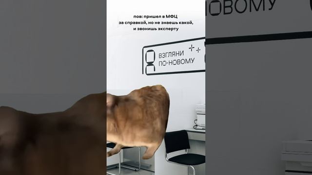 Мама знает ответы на все вопросы 😉 смотреть онлайн