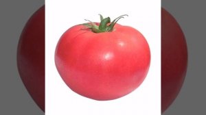 ПОМИДОР | 1 ЧАС ПОД РЕЛАКС МУЗЫКУ ИЗ ЛИФТА