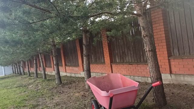 часть 9/Клубника/Гамак/Сосны и шишки смотреть онлайн
