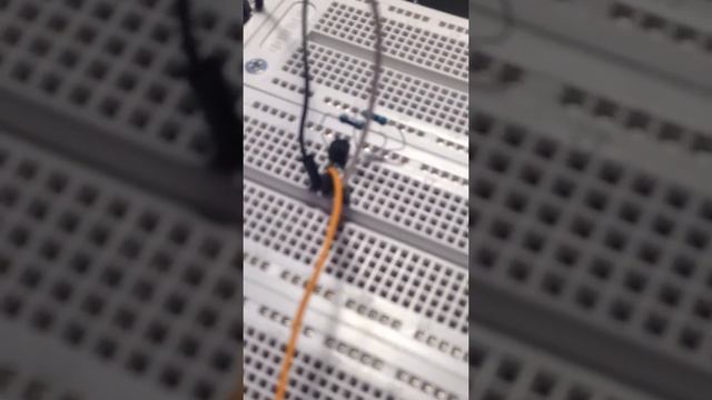 Raspberry Pi with temperature sensor 18b20 смотреть онлайн