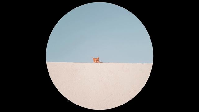 Ben Watt - Lone Cat (Dennis Ferrer & Steve Martinez Special Re-Rub) (2007) смотреть онлайн