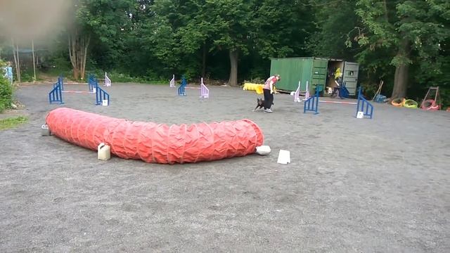 23 июля 2017 г. смотреть онлайн