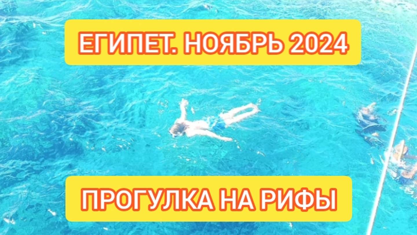 ОТПУСК В ЕГИПТЕ 2024. МОРСКАЯ ПРОГУЛКА НА МОРСКИЕ РИФЫ. ПОДВОДНОЕ ПЛАВАНЬЕ. смотреть онлайн