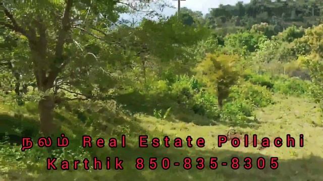 7 Acre 40 cent low budget beautiful empty land sale in anaimalai Pollachi смотреть онлайн