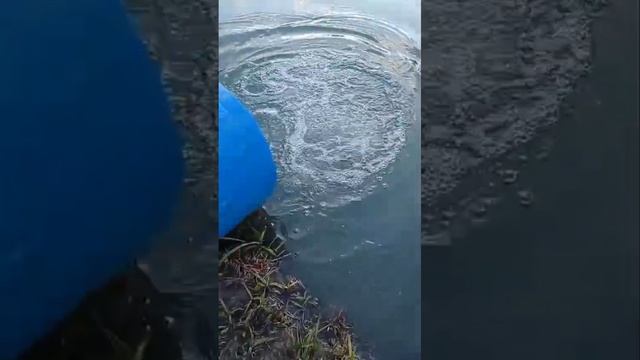 запуск смотреть онлайн