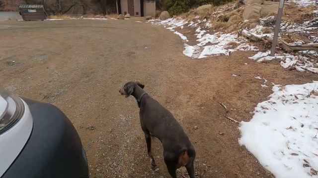 VANLIFE! We Found Snow! A Cold Day In Arizona In My Self Converted Promaster Camper Van GoPro Hero9 смотреть онлайн
