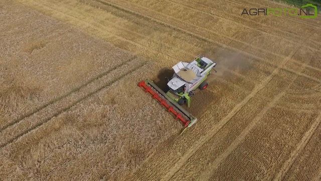 Harvest start 2017 | Claas Lexion 600 Terra Trac | Harvesting winter barley смотреть онлайн
