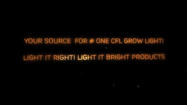 21OOK & 6400K CFL'S смотреть онлайн