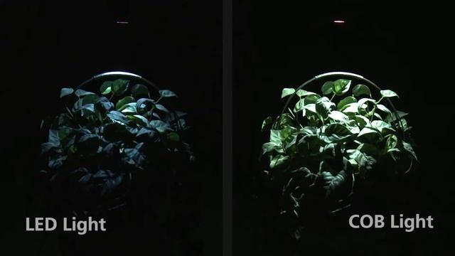 COB vs LED Flashlights смотреть онлайн