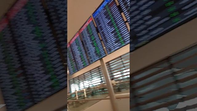 Фудзона в аэропорту Стамбула. Тихое укромное место. Waiting for a flight. смотреть онлайн
