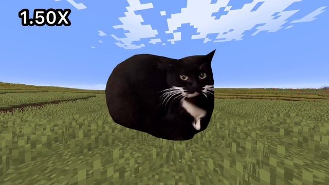 Maxwell Cat (скорость 999X)