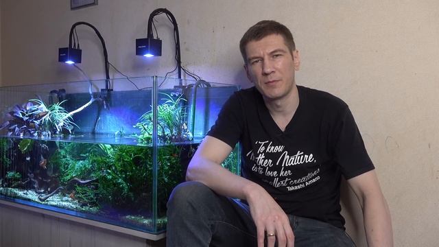 Пять ошибок начинающих аквариумистов смотреть онлайн